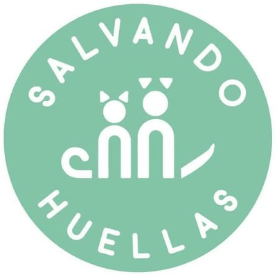 Logo FUNDACIÓN SALVANDO HUELLAS
